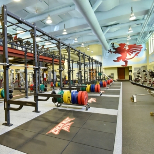 CHC Fitness Center. Rows of weights and painting of gryphon on the wall