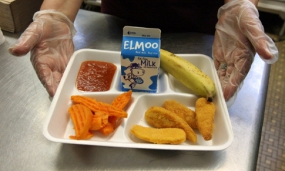 Disgusting School Food