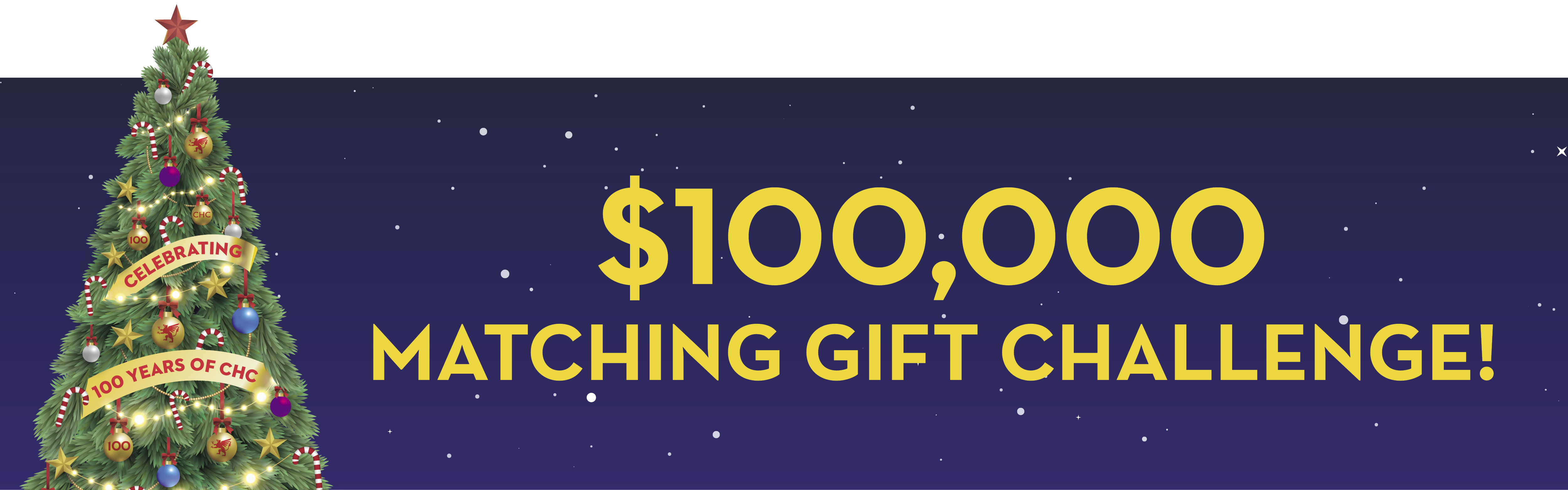 website banner with photo of a decorated tree and the words, "$100,000 Matching Gift Challenge"