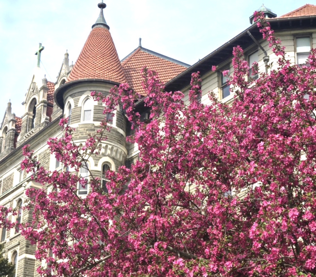 St. Joseph Hall with bright pink flowers around it